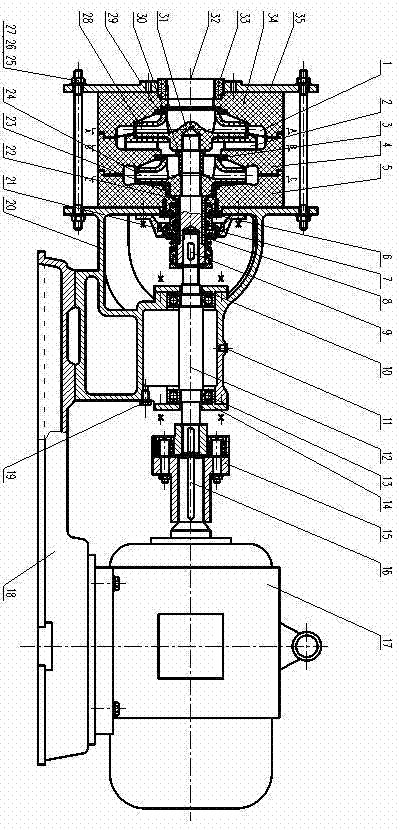 Two-stage and two-discharge graphite pump