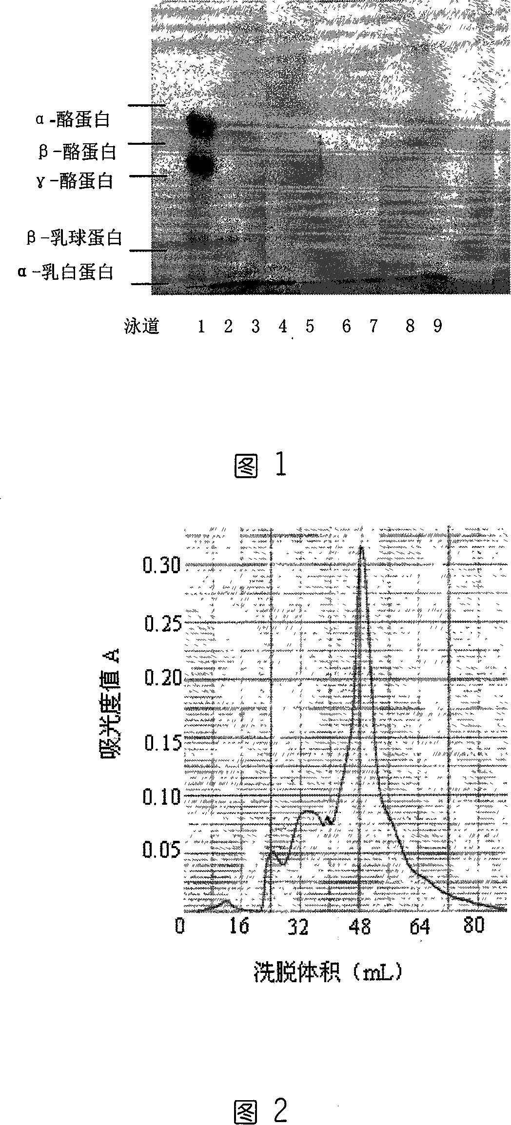 Babies' formula milk powder restructured composition of protein and producing method thereof