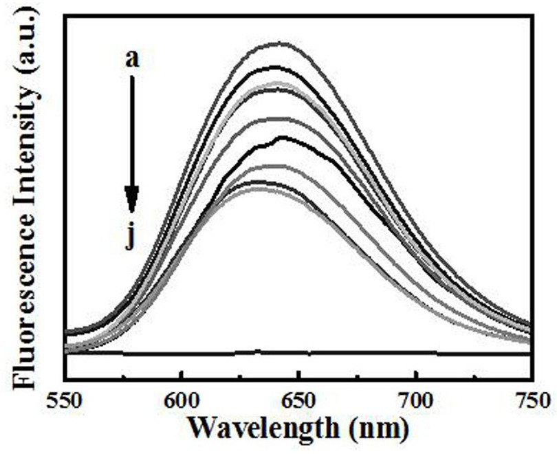 A method for the detection of iodide ions in urine based on the fluorescence enhancement of silver nanoclusters induced by alcohol solvent