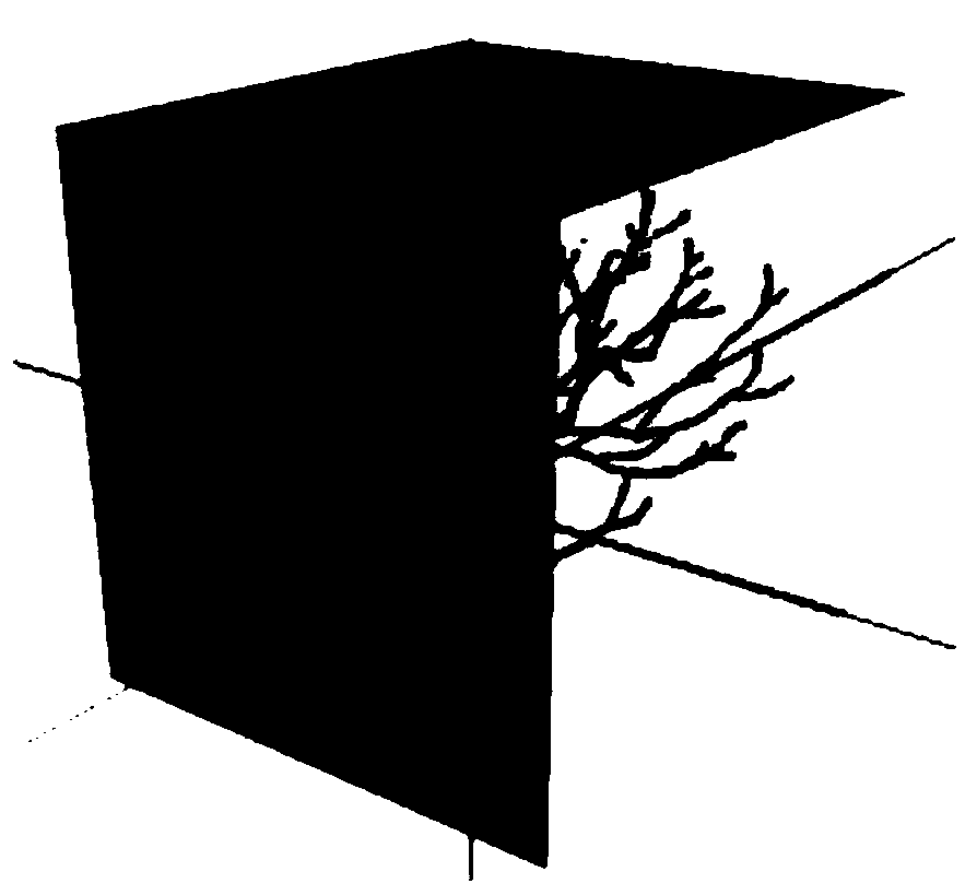 Tree lightweight 3D reconstruction method based on enhanced PyrLK optical flow method