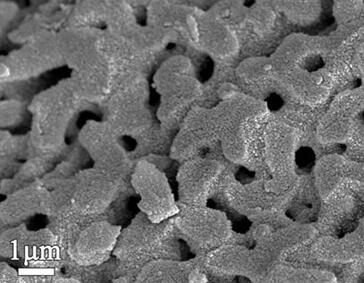 A kind of low-temperature denitrification catalyst and its application