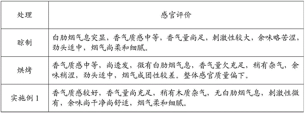 A kind of preparation method of grafted tobacco of burley tobacco and flue-cured tobacco