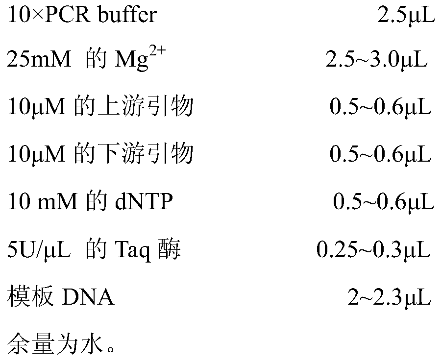 A kind of Pseudomonas aeruginosa detection kit and its application