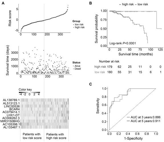 Model for prognosis prediction of breast cancer patient and establishment method