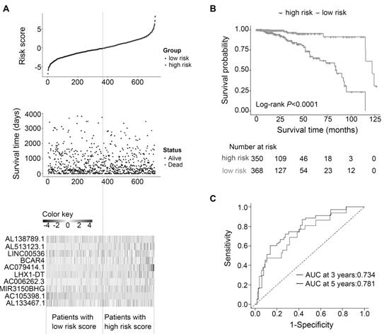 Model for prognosis prediction of breast cancer patient and establishment method