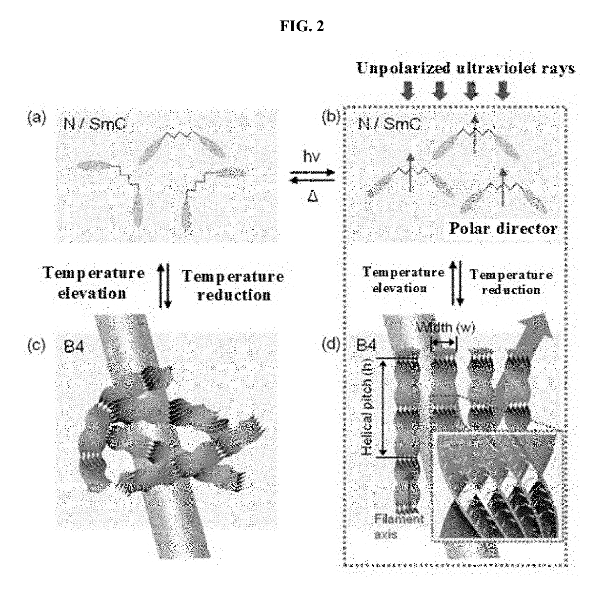 Photonic crystal comprising photo-responsive molecules and method of preparing the same