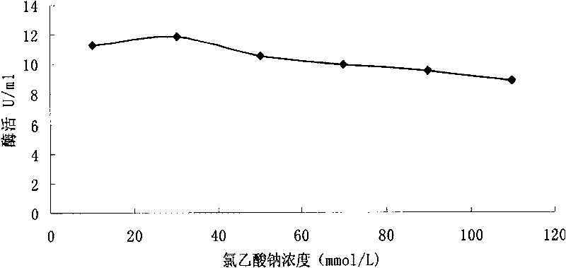 Pseudomonas putida strain and application thereof in preparing glycolic acid