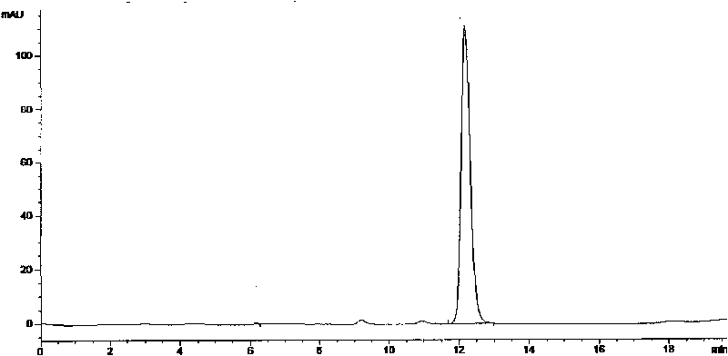 Pseudomonas putida strain and application thereof in preparing glycolic acid