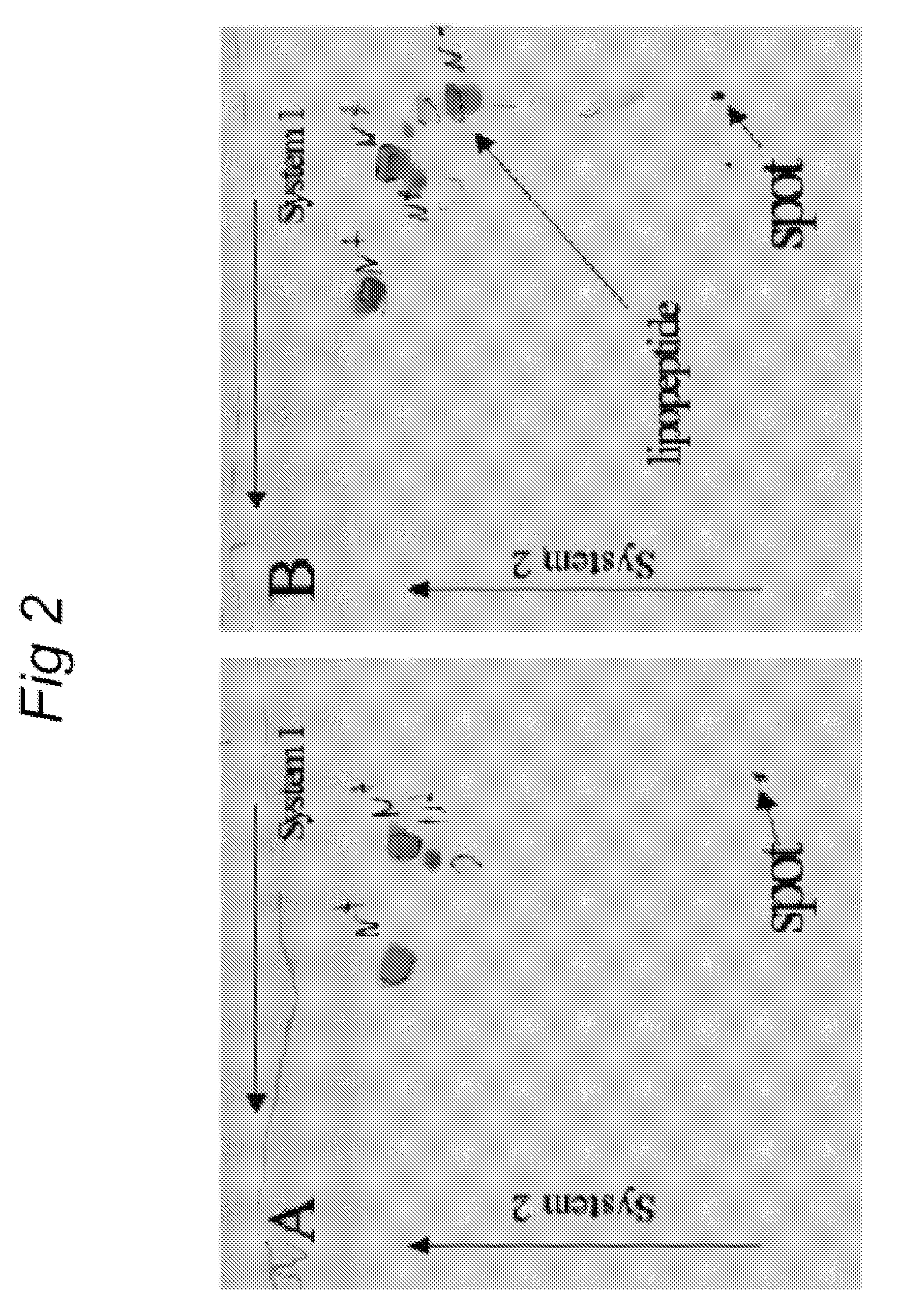 Functionally reconstituted viral membranes containing adjuvant