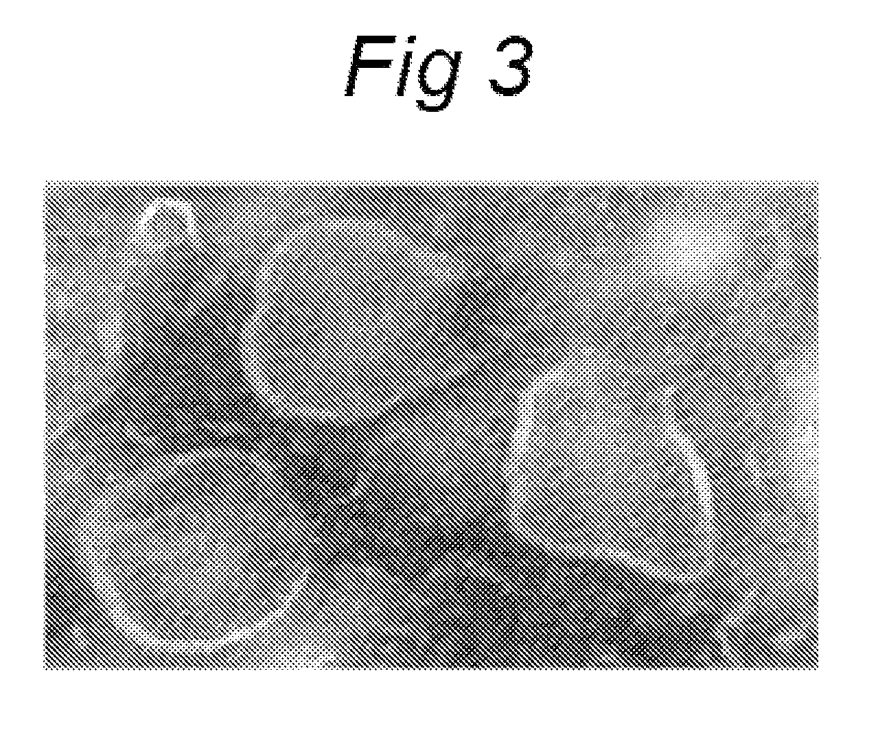 Functionally reconstituted viral membranes containing adjuvant