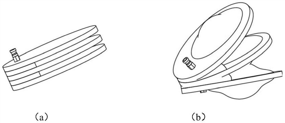 Power-assisted mechanism and power-assisted shoes