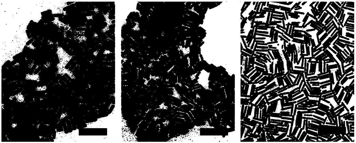 Seedless preparation method of gold nanorods