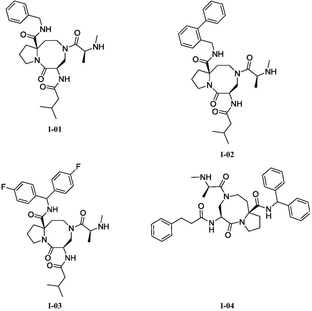 An anti-tumor diazobicyclic apoptosis protein inhibitor