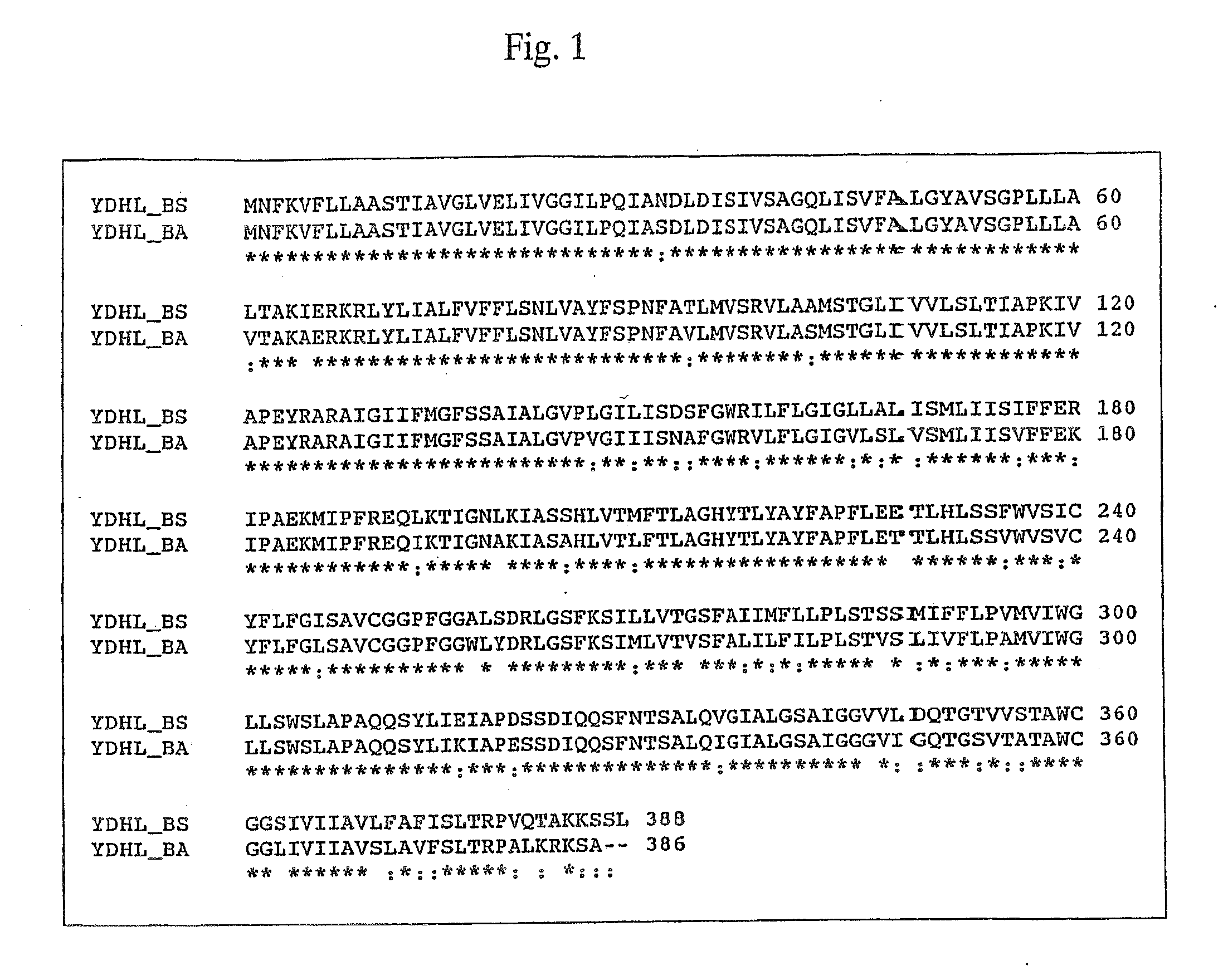 Method for Producing Purine Nucleosides and Nucleotides by Fermentation Using Bacterium Belonging to the Genus Bacillus or Escherichia