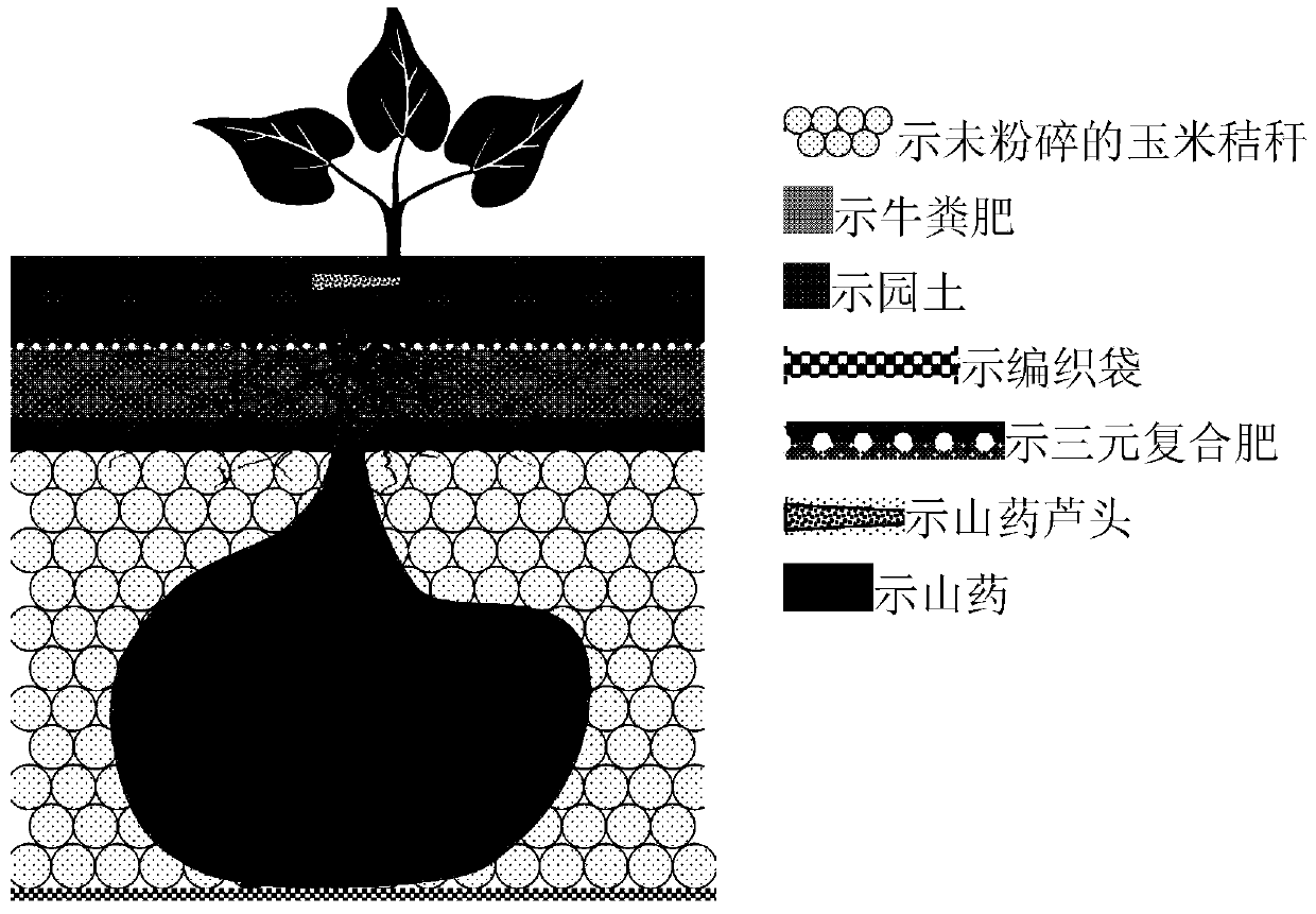 A kind of soil preparation method and planting method of Chinese yam