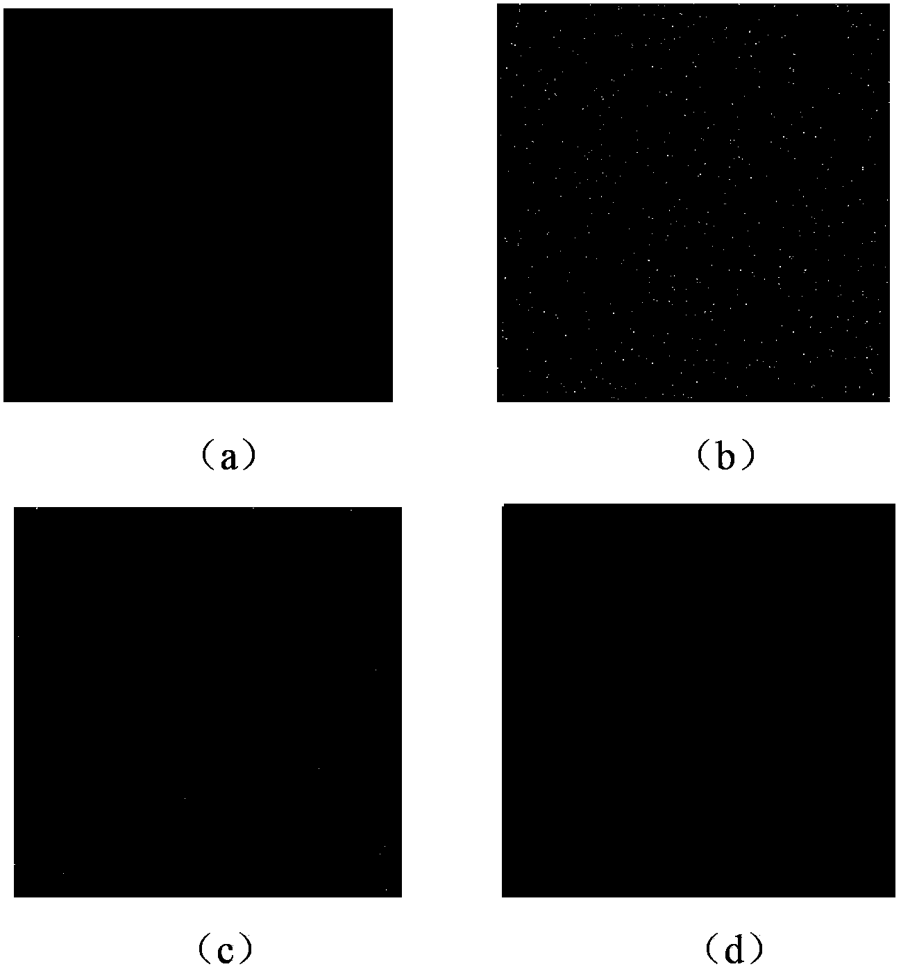 Non-local mean filtering method based on direction field estimation