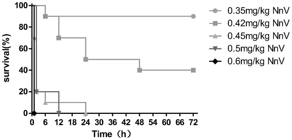 Application of epigallocatechin gallate in preparation of medicine for preventing or treating systemic jellyfish toxin poisoning