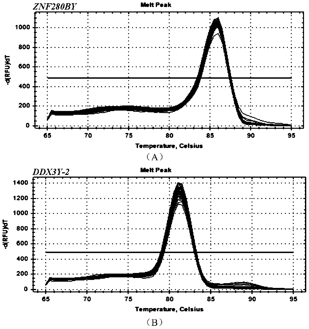 Method for detecting copy number variation of sheep ZNF280BY gene, and application of method