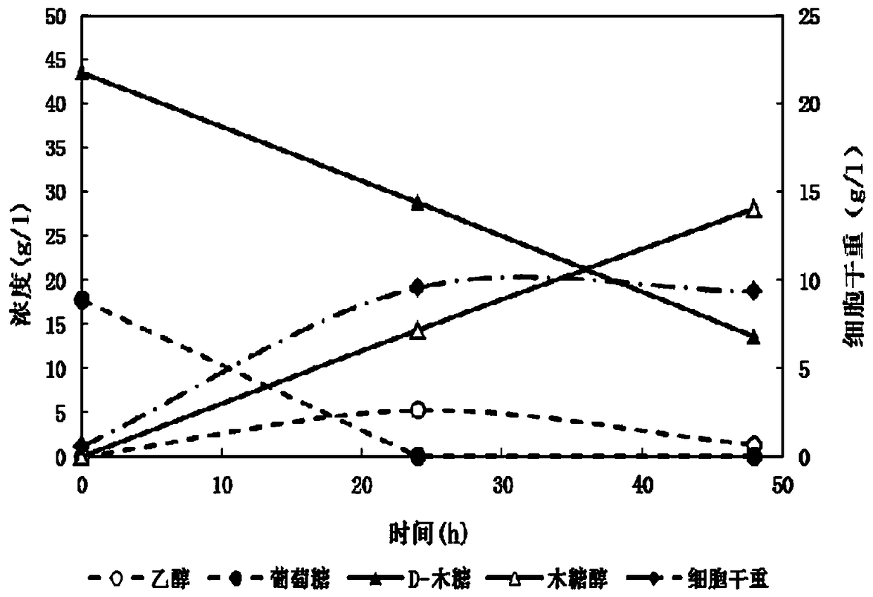 A xylitol-producing industrial Saccharomyces cerevisiae strain and its construction method