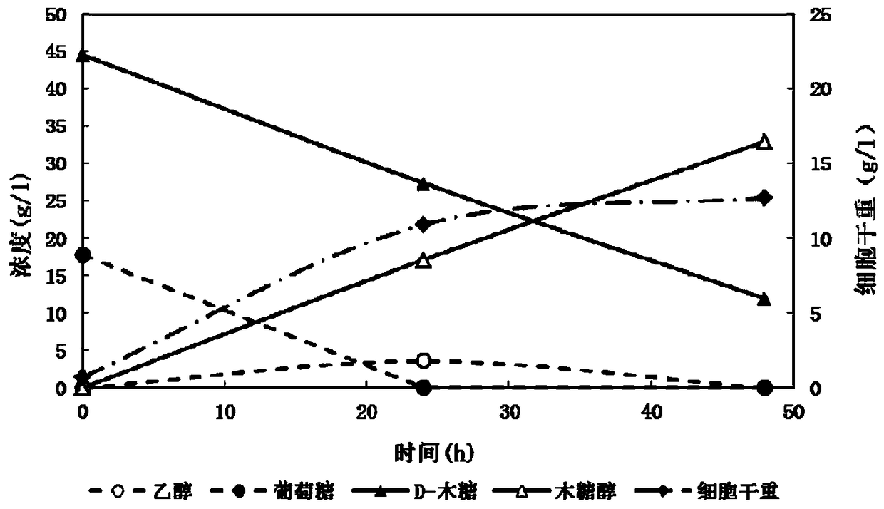 A xylitol-producing industrial Saccharomyces cerevisiae strain and its construction method