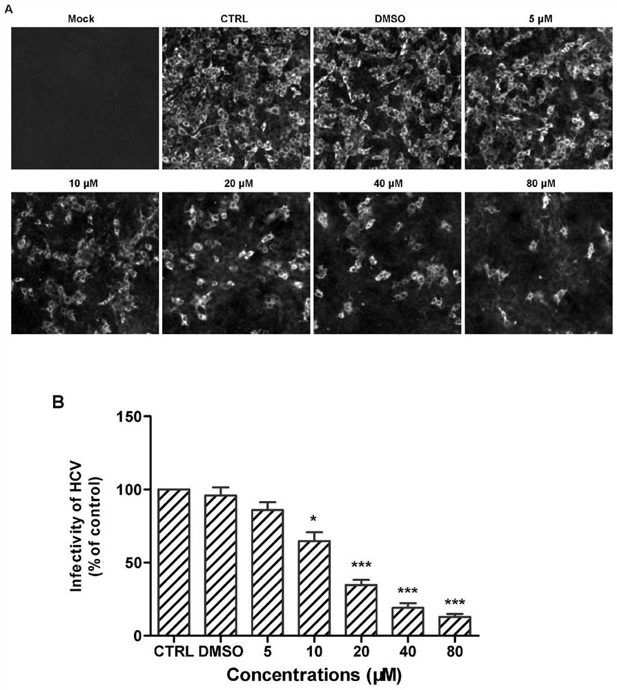 Application of synthetic peptide in preparation of medicine for preventing and treating hepatitis virus infection