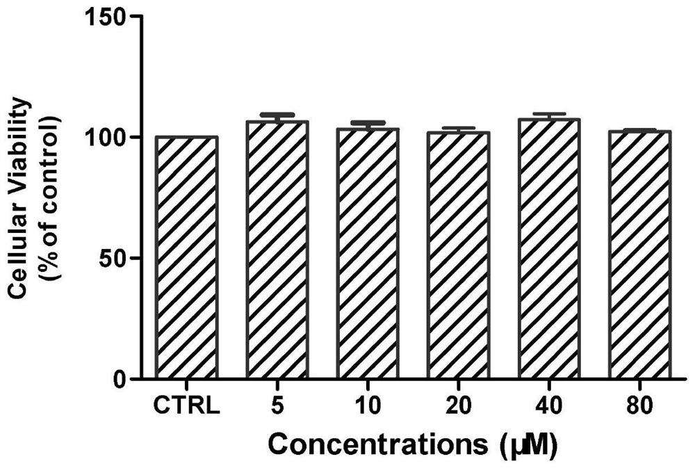 Application of synthetic peptide in preparation of medicine for preventing and treating hepatitis virus infection