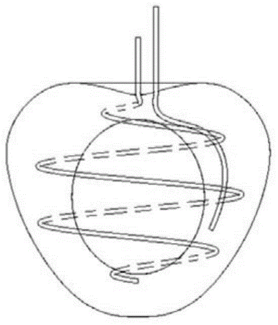 A heart simulation structure, its forming method and special mold