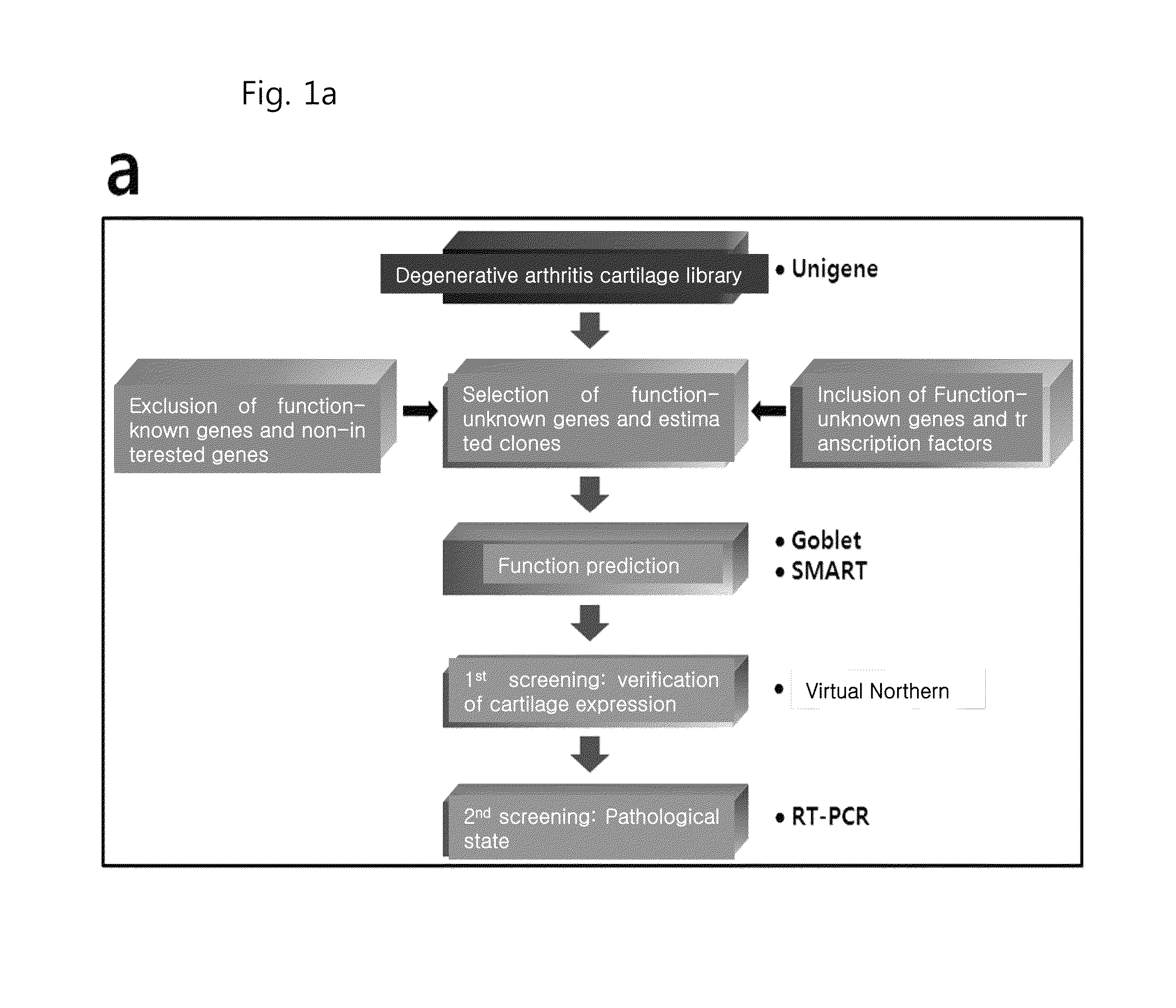 Pharmaceutical composition including an HIF-2 alpha inhibitor as an active ingredient for preventing or treating arthritis