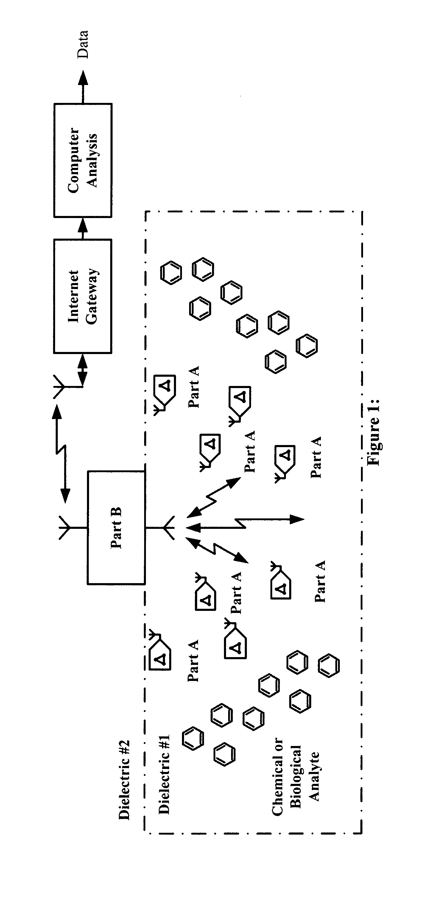 Apparatus, Method and System for Distributed Chemical or Biological to Digital Conversion to Digital Information Using Radio Frequencies