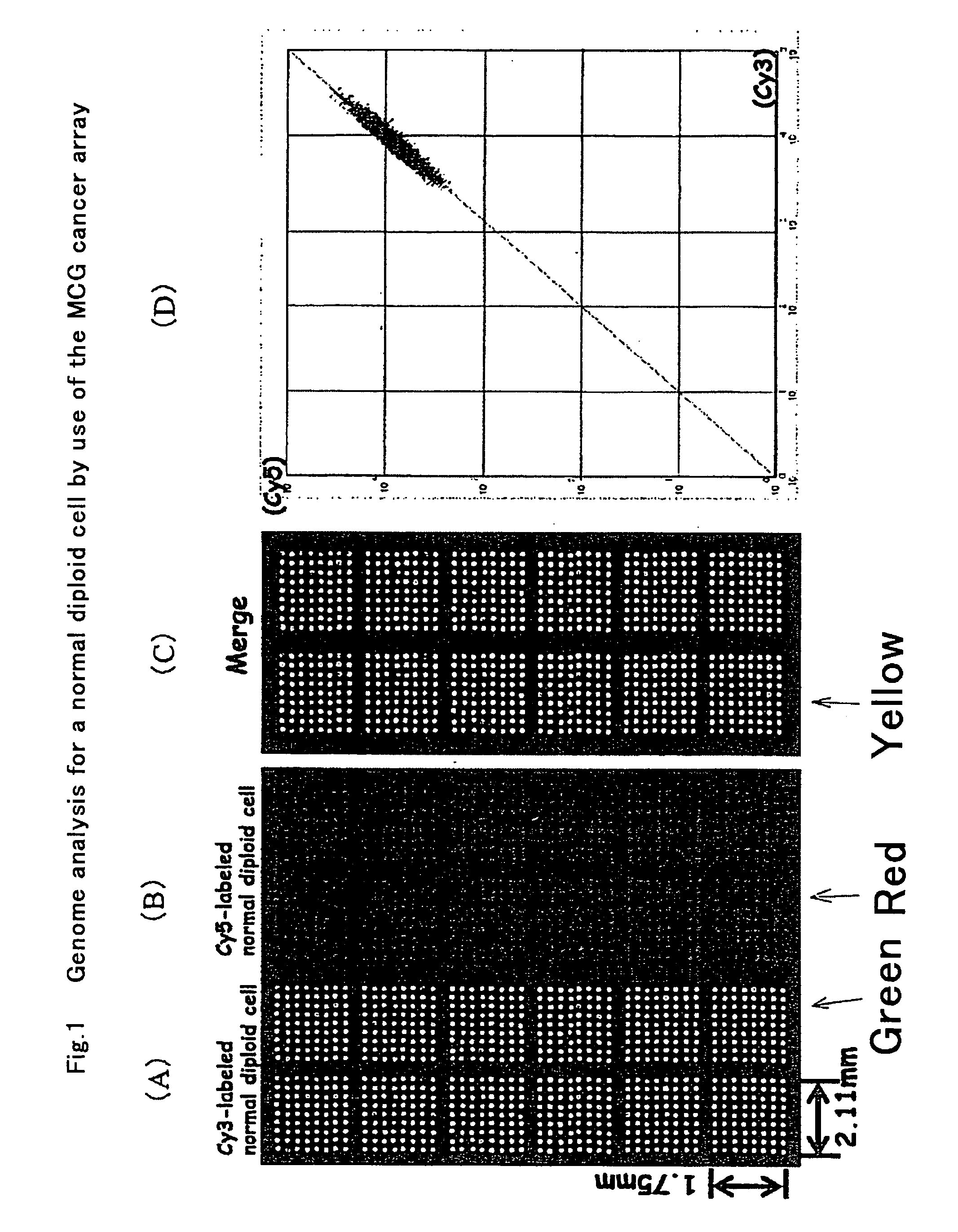 Method for detecting cancer and a method for suppressing cancer
