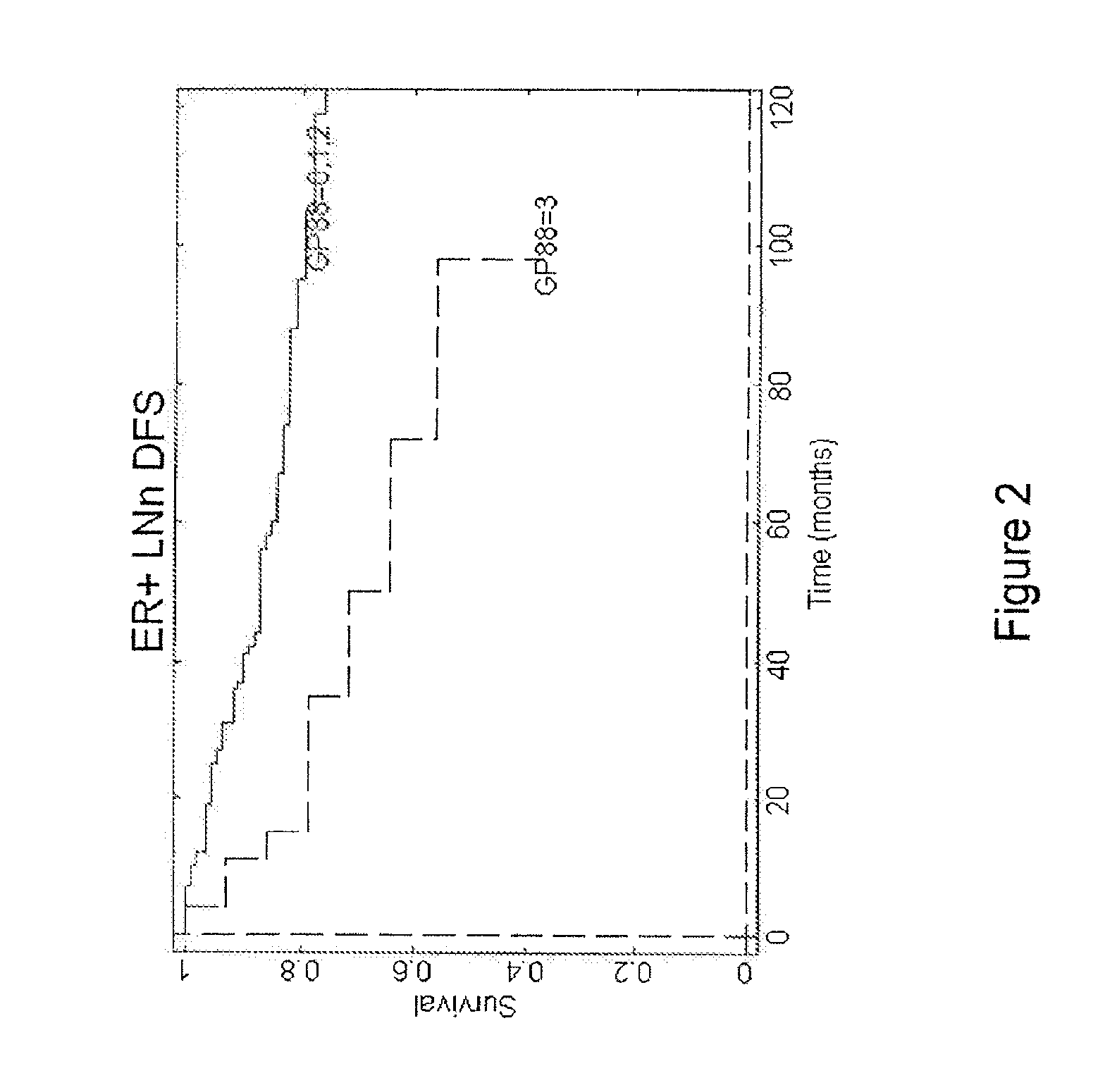 Methods for diagnosing cancer and determining the overall survival and disease-free survival of cancer patients