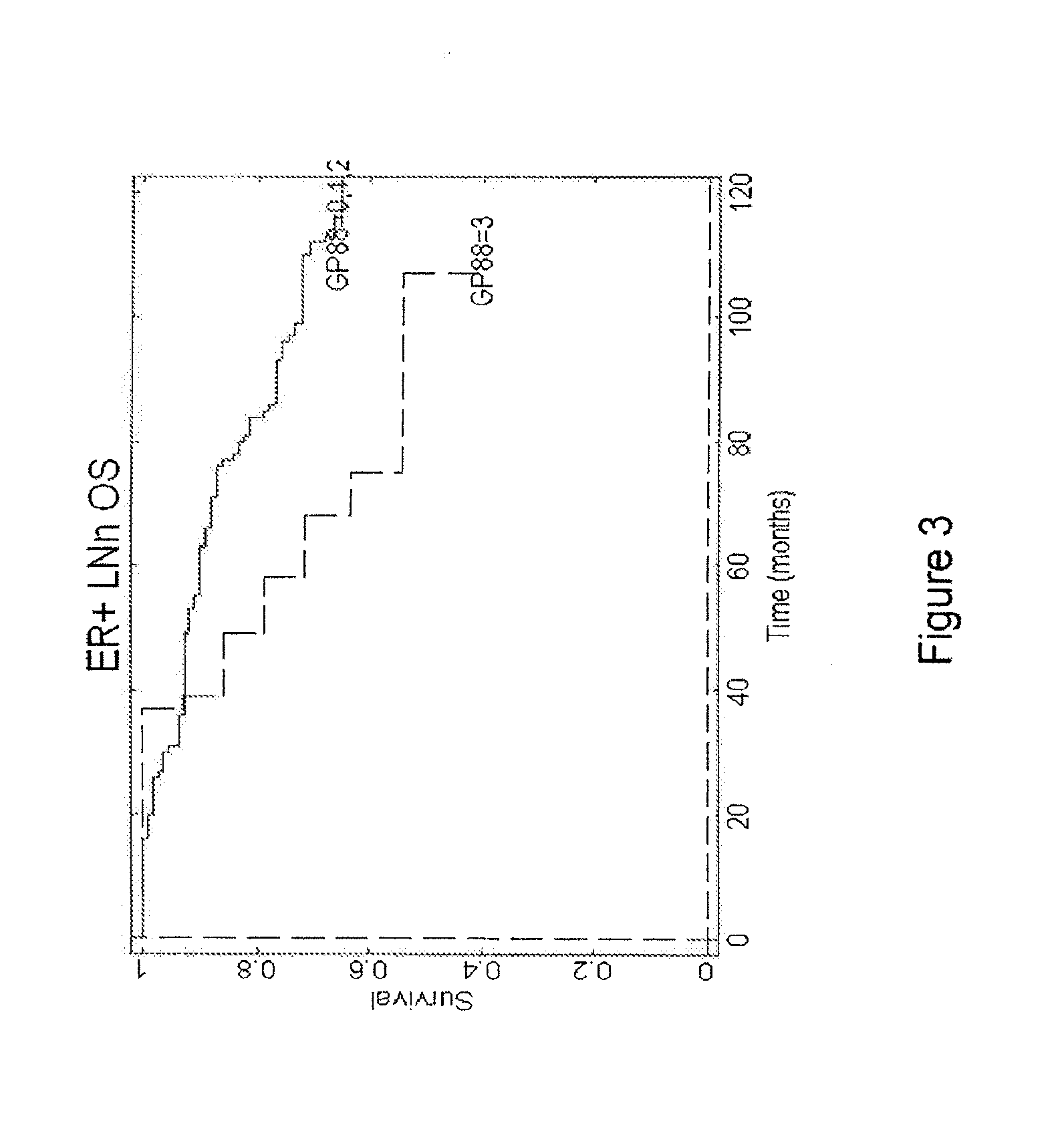 Methods for diagnosing cancer and determining the overall survival and disease-free survival of cancer patients