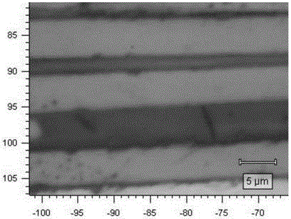 Method for producing carbon fiber sample for Raman spectrum test