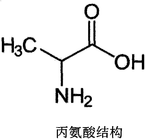 Method for producing alanine from recombinant Escherichia coli by the aid of glycerin