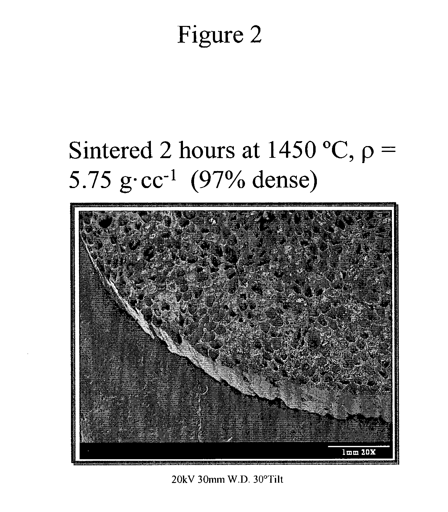 Solid oxide fuel cell and method for preparing the same