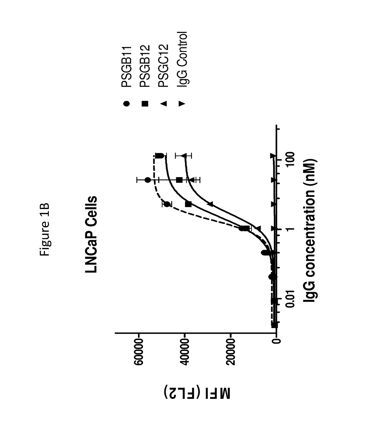 Antibody therapeutics that bind PSMA