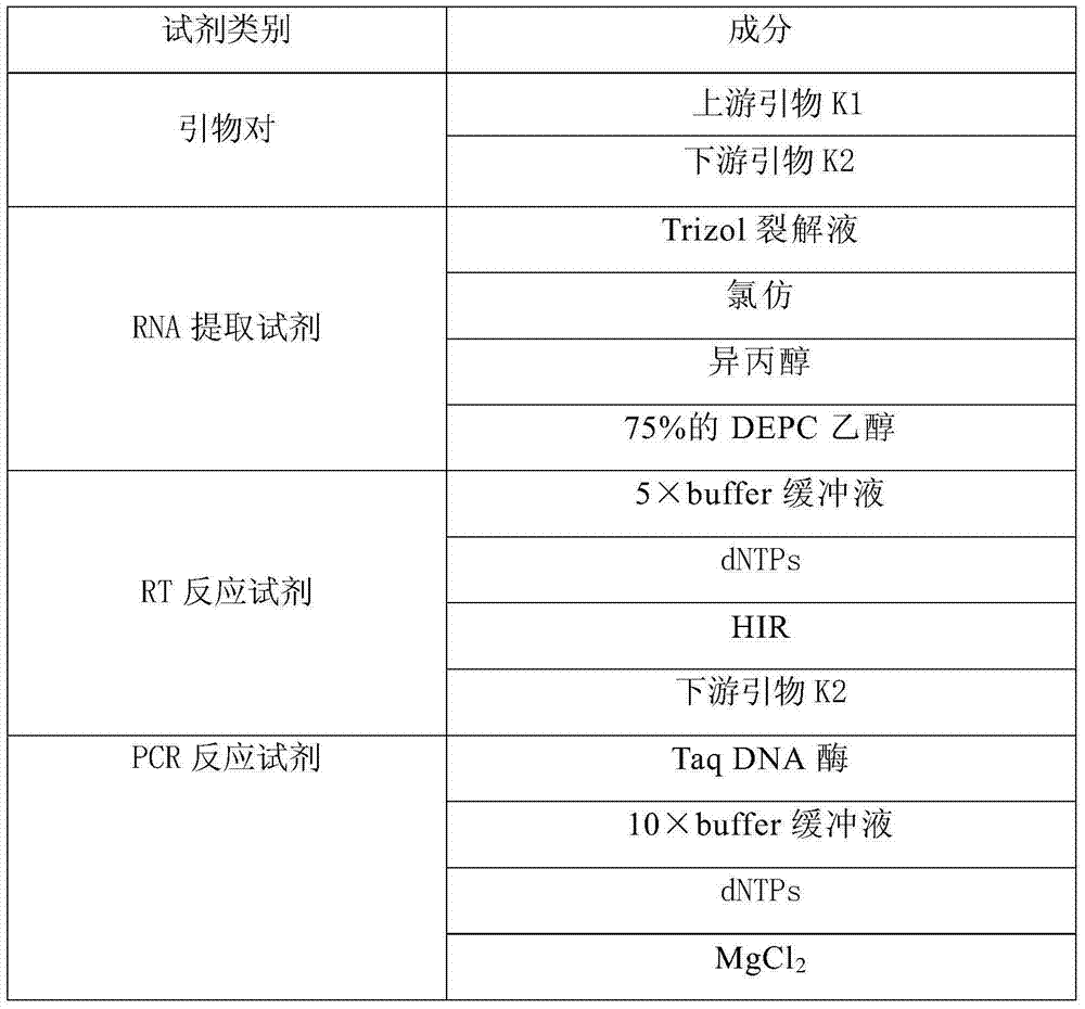 RT-PCR (Reverse Transcription-Polymerase Chain Reaction) primer for detecting porcine Kobu virus and kit