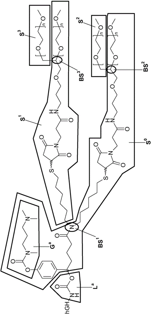 Growth hormone composition