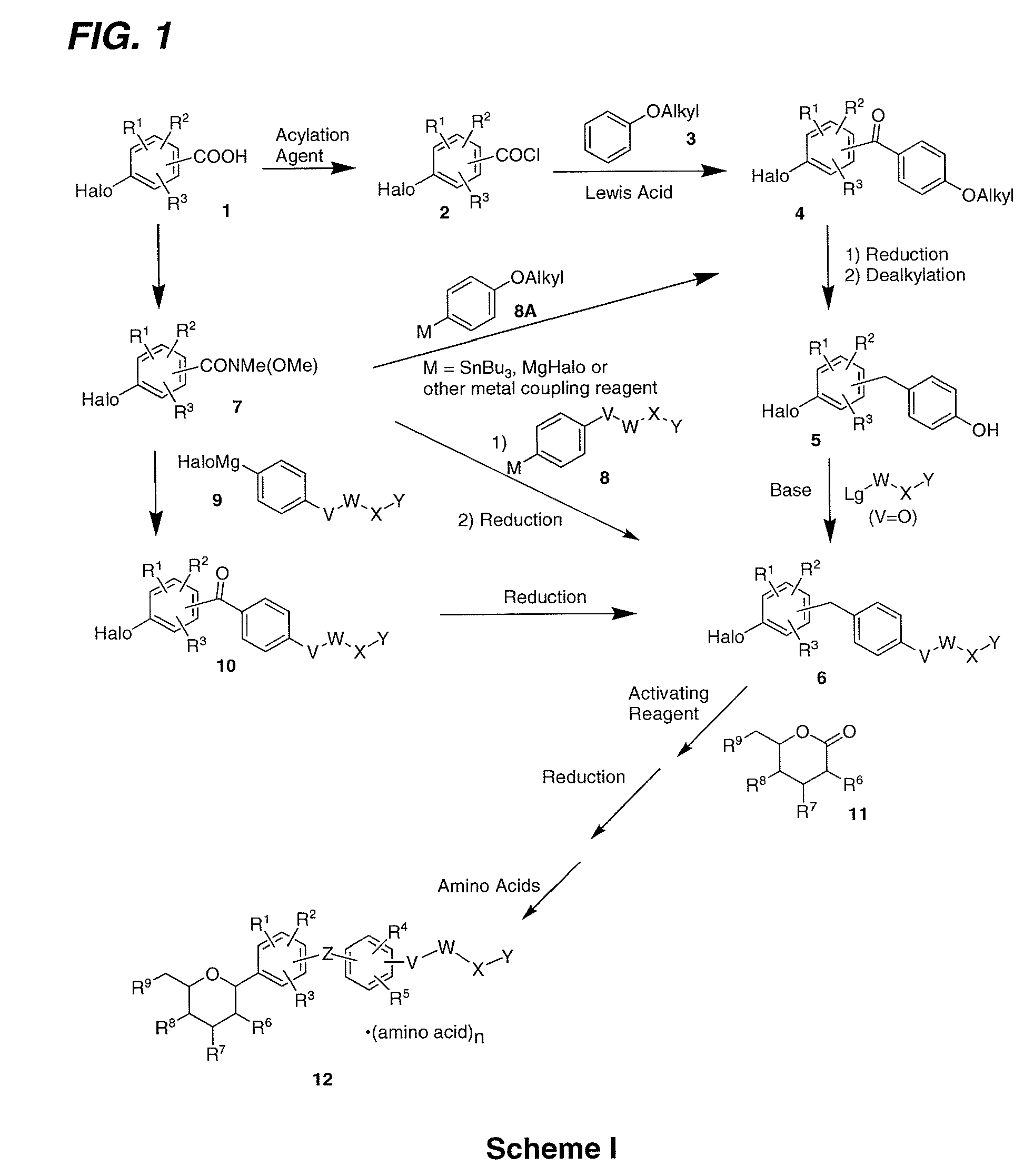 Processes for the preparation of SGLT2 inhibitors