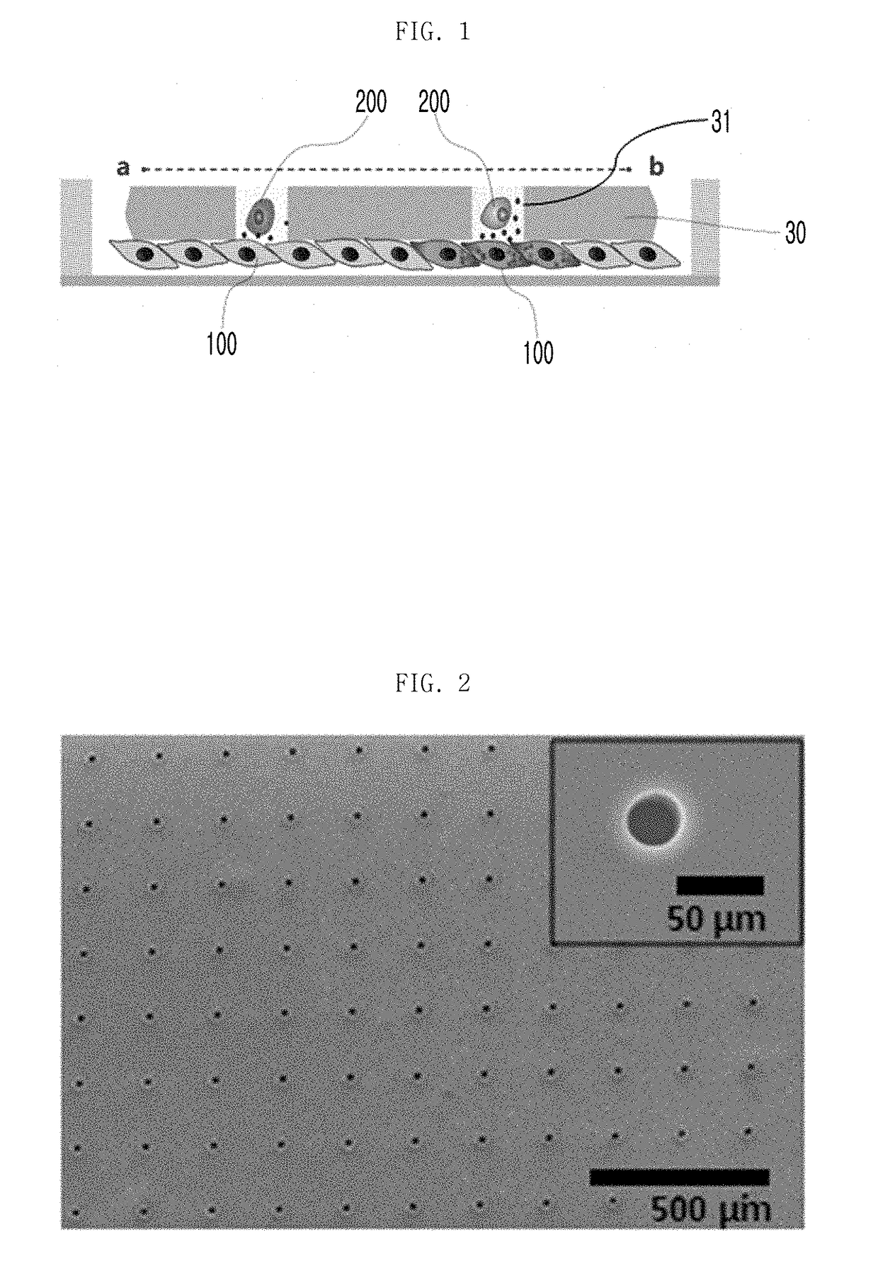 Device and method for single cell screening based on inter-cellular communication