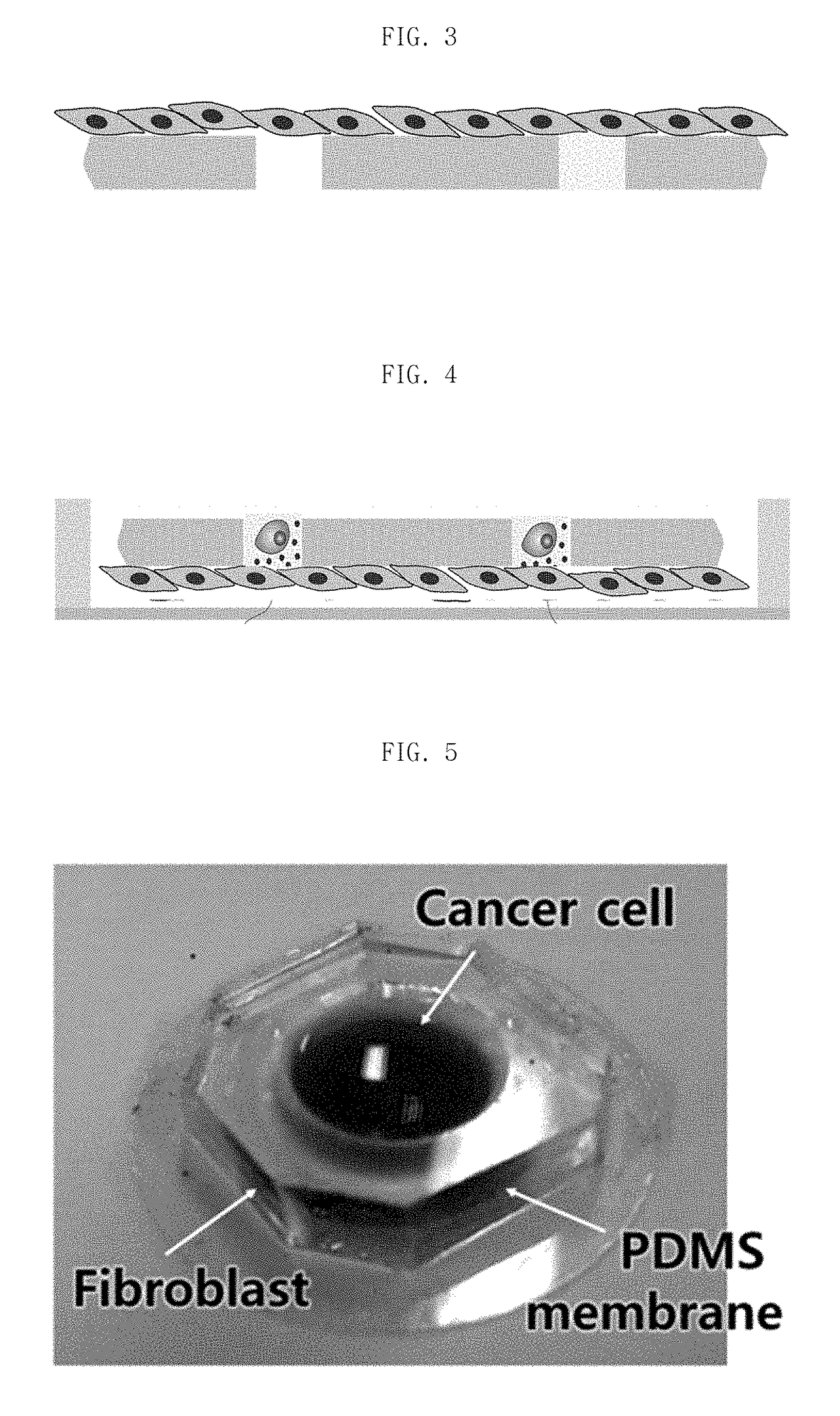 Device and method for single cell screening based on inter-cellular communication