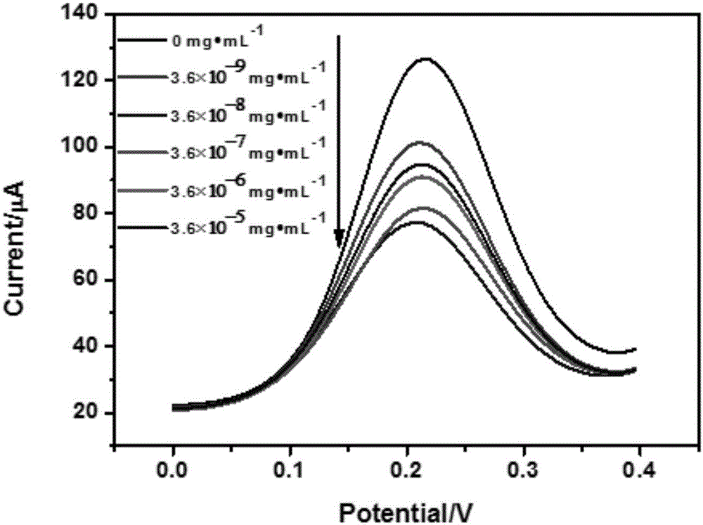 Preparation method of polypyrrole-polydopamine-based electrochemical immunosensor