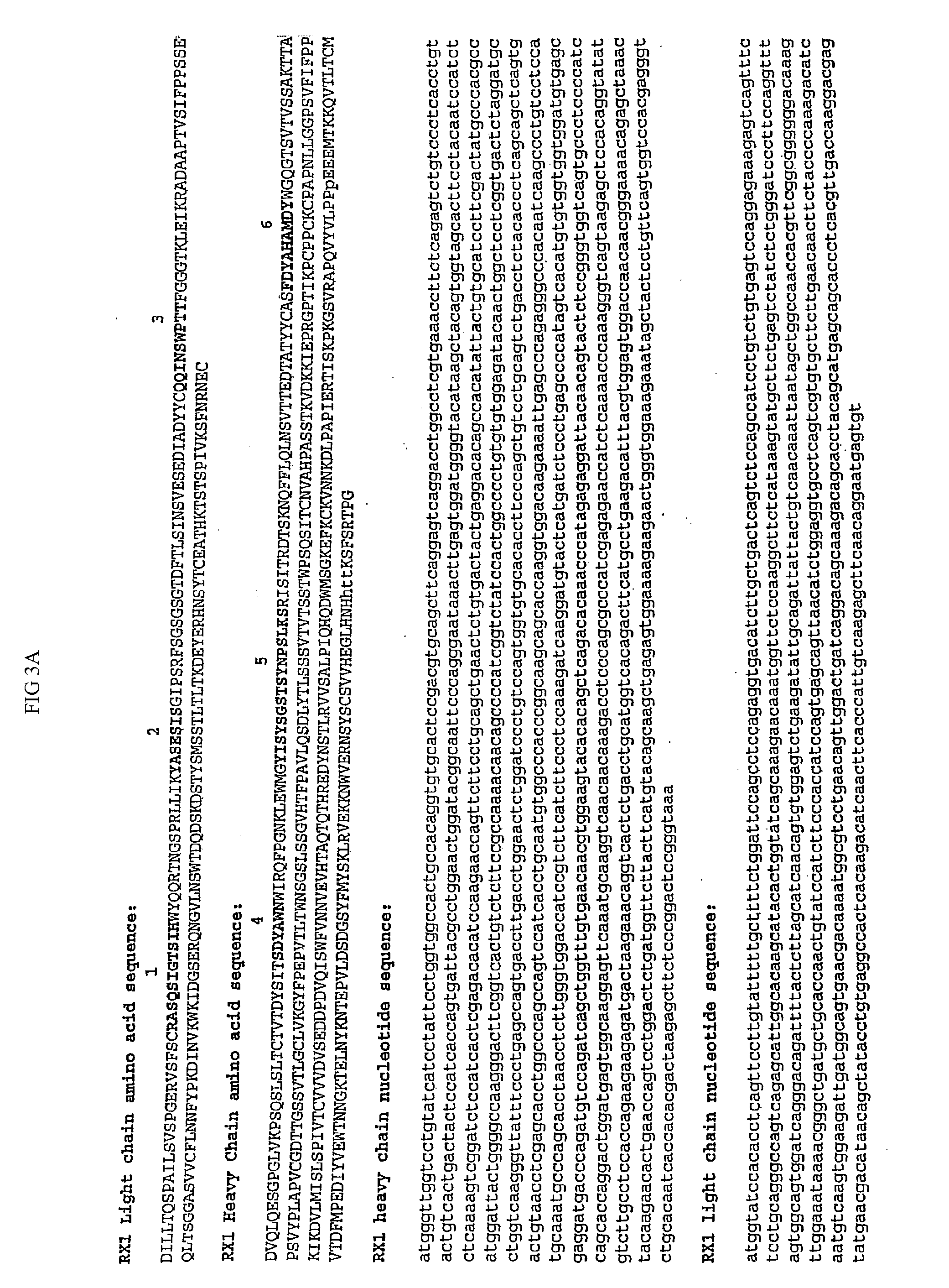 Soluble human m-csf receptor and uses thereof
