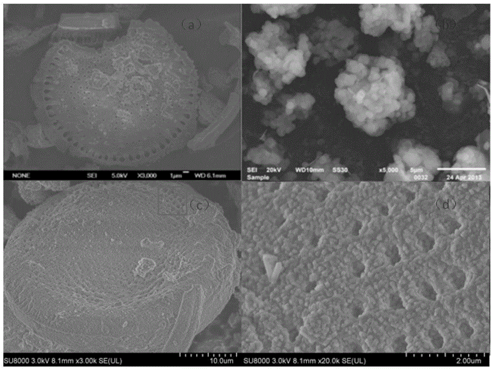 Preparation method and application of micro-mesoporous molecular sieve diatomite composite used for adsorption process