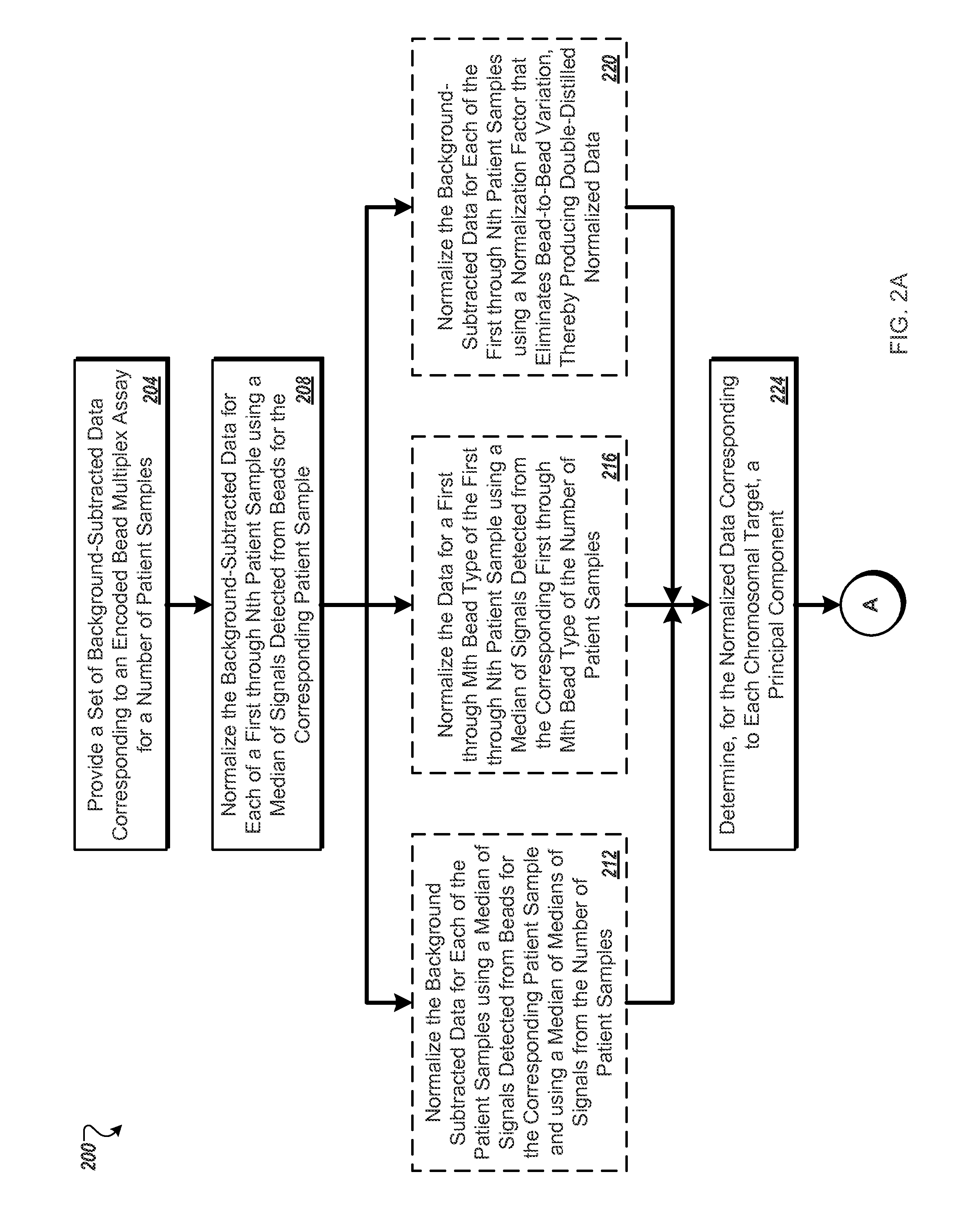 Systems and methods for detection of chromosomal gains and losses