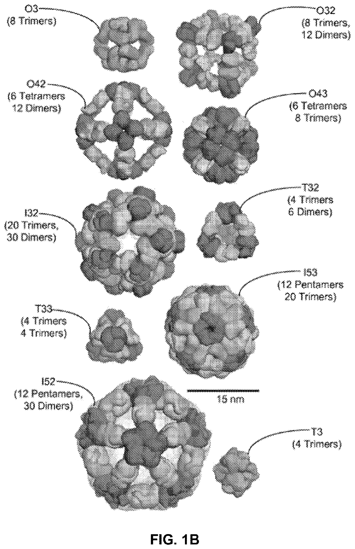 Self-asssembling nanostructure vaccines
