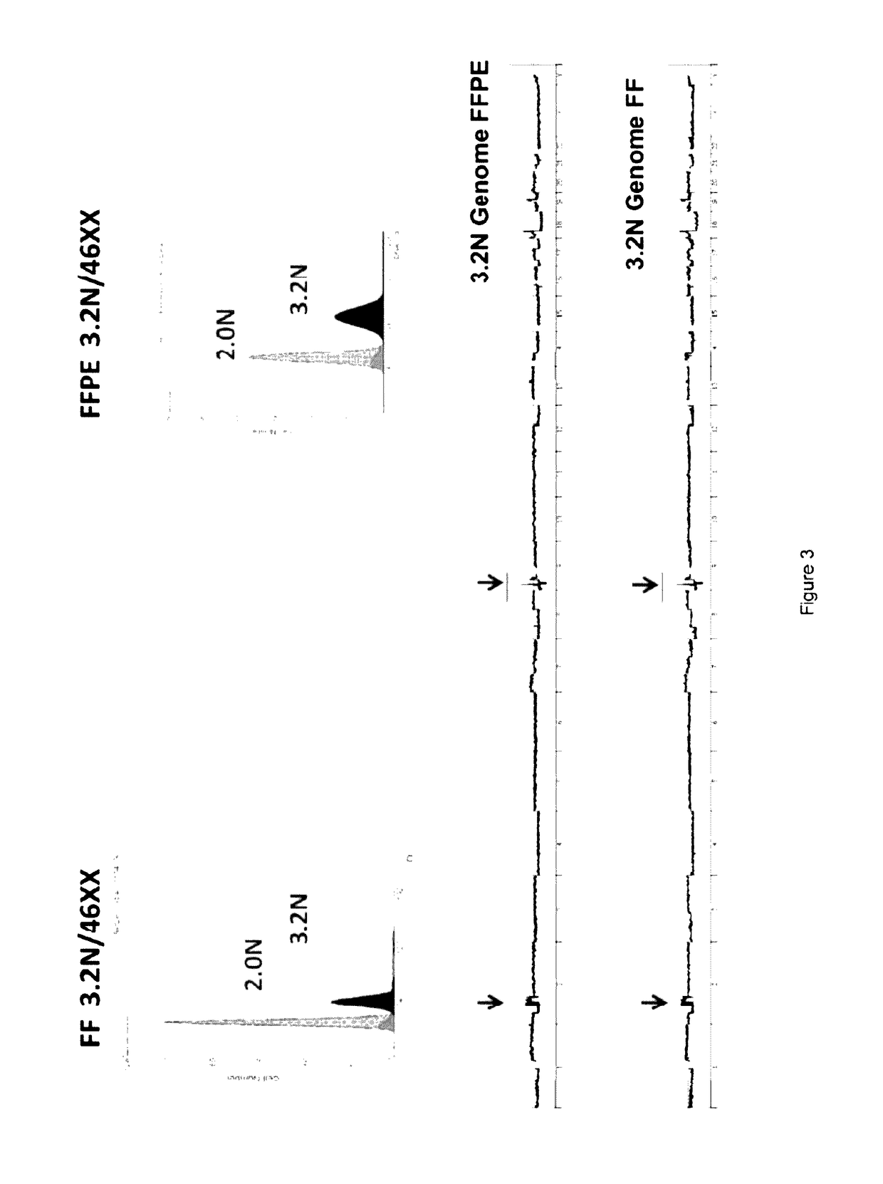 System and method of genomic profiling