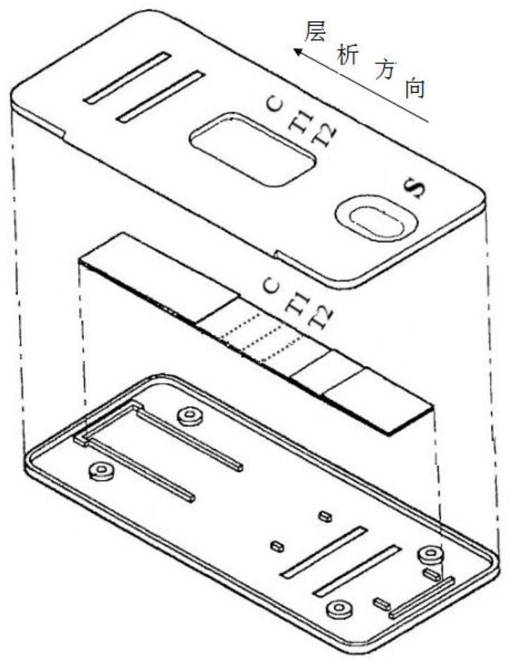 A dual rapid detection card for detecting and distinguishing O-type and A-type foot-and-mouth disease virus and preparation method thereof