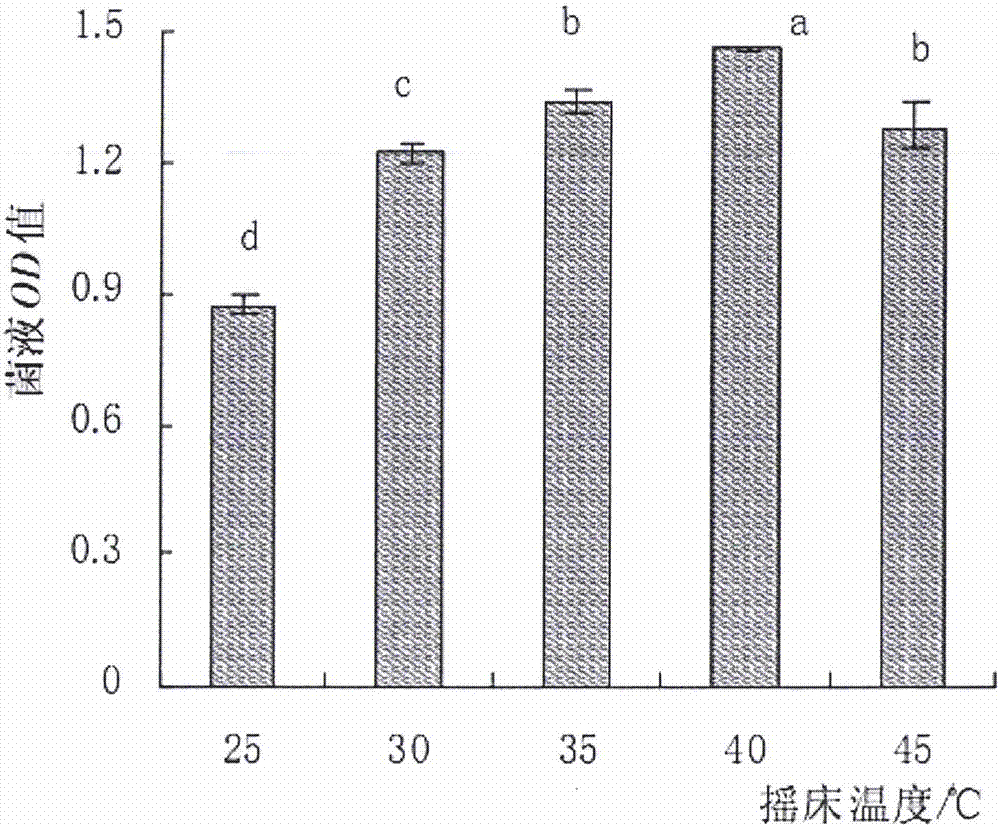 Method for preparing nitrate-polluted soil mediating inoculant N4 by virtue of sweet potato starch waste liquid