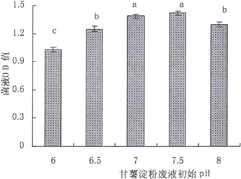 Method for preparing nitrate-polluted soil mediating inoculant N4 by virtue of sweet potato starch waste liquid